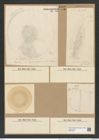 Actinocyclus ralfsii et var. (W. Sm.) Ralfs (de-Toni-Nr.: Genus 195, Species 4762) Zeichnungen Sammlung Grunow Nr. 8402 (NHMW-BOT-W0377839)